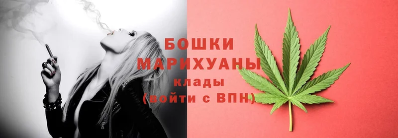 продажа наркотиков  blacksprut ссылка  Шишки марихуана White Widow  Порхов 